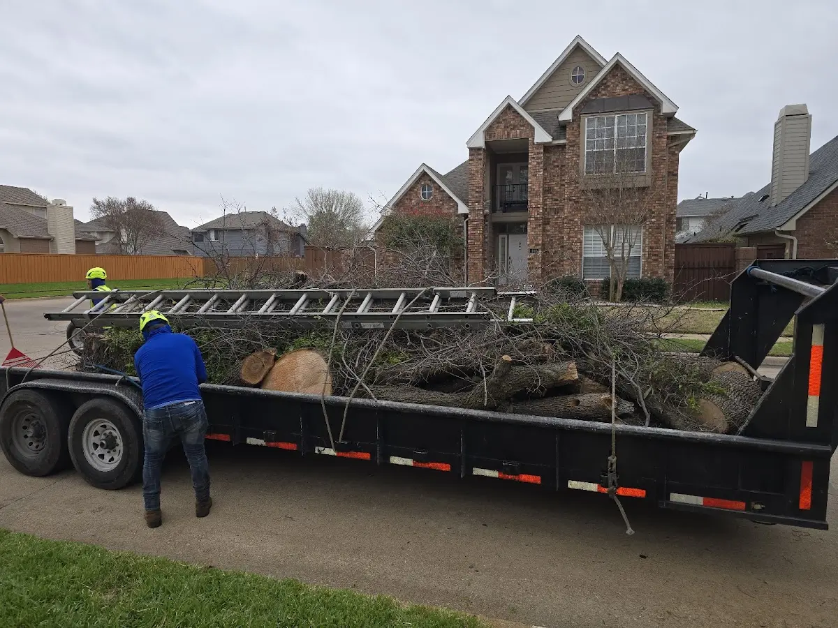 Expert Tree Fertilization with proper safety equipment in Monona